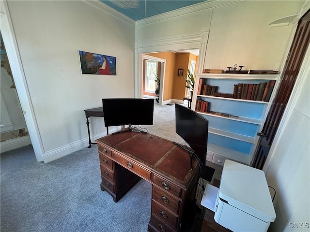 109 State St, Seneca Falls, NY 13148 - carpeted office space featuring ornamental molding and baseboards