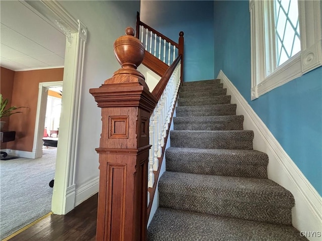 109 State St, Seneca Falls, NY 13148 - stairs with plenty of natural light, baseboards, wood finished floors, carpet flooring, and crown molding