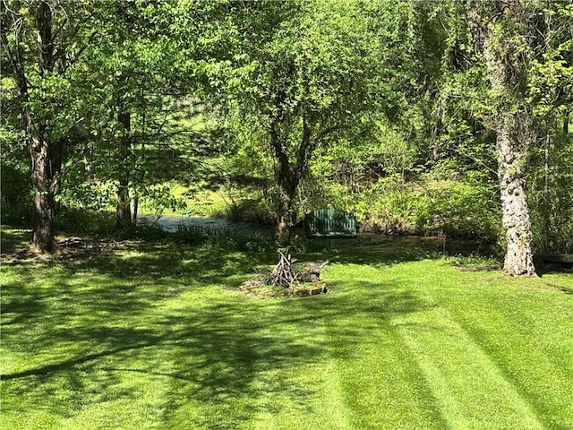 21 Curtis Rd, Hamilton, PA 16333 - view of grassy yard