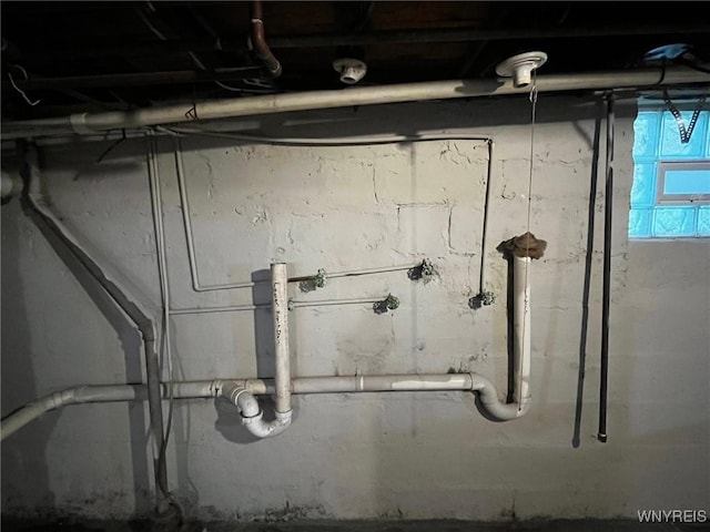 228 Weiss St, Buffalo, NY 14206 - view of below grade area