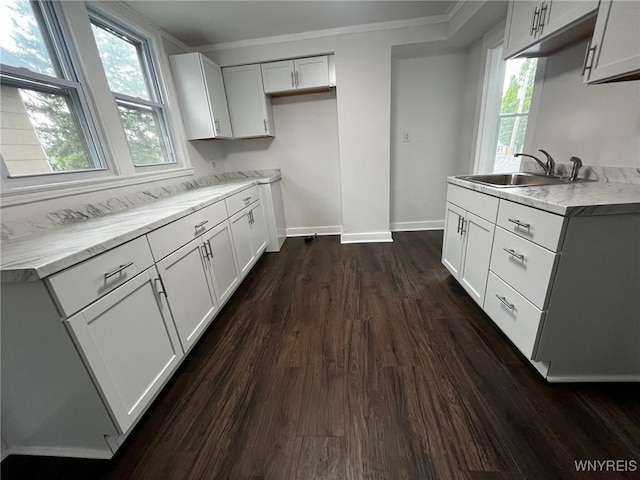 228 Weiss St, Buffalo, NY 14206 - kitchen featuring a sink, dark wood finished floors, baseboards, ornamental molding, and light countertops