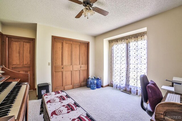 4590 Beach Ridge Rd, Pendleton, NY 14094 - home office featuring carpet flooring, ceiling fan, and a textured ceiling