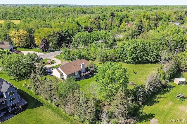 4590 Beach Ridge Rd, Pendleton, NY 14094 - bird's eye view of a forest
