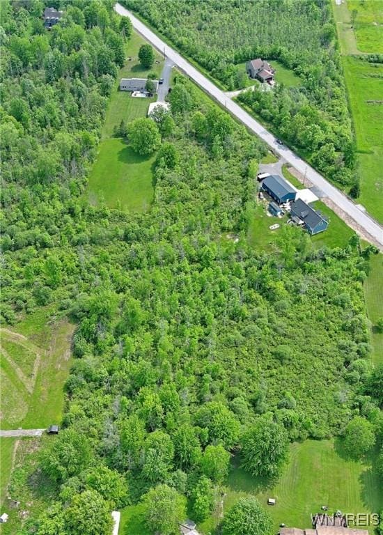 Tonawanda Crk Rd N, Clarence, NY 14031 - photo 5