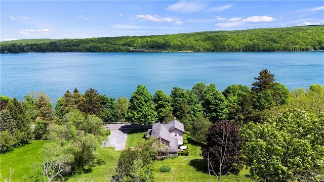 1096 W Lake Rd, Jerusalem, NY 14418 - aerial view of property and surrounding area with a forest and a large body of water
