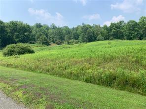 LOT11 Meadow Brook Dr, Middletown, NY 12455