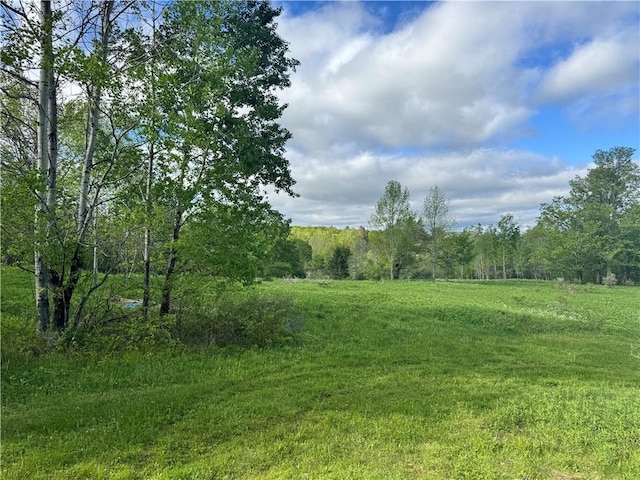 LOT11 Meadow Brook Dr, Middletown, NY 12455