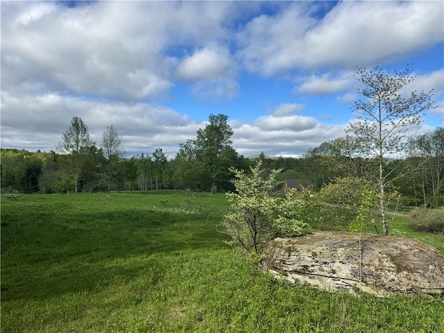 LOT11 Meadow Brook Dr, Middletown, NY 12455