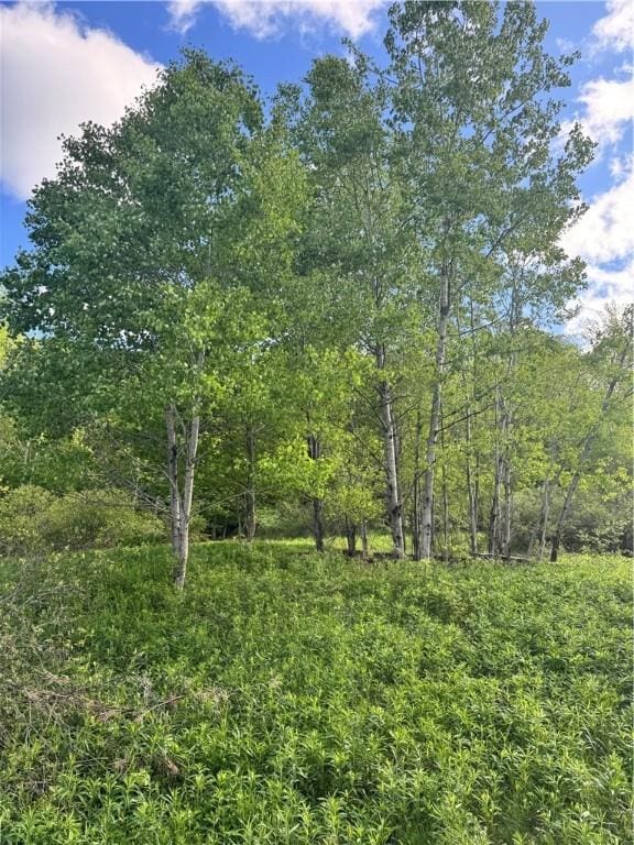 LOT11 Meadow Brook Dr, Middletown, NY 12455