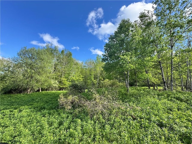 LOT11 Meadow Brook Dr, Middletown, NY 12455