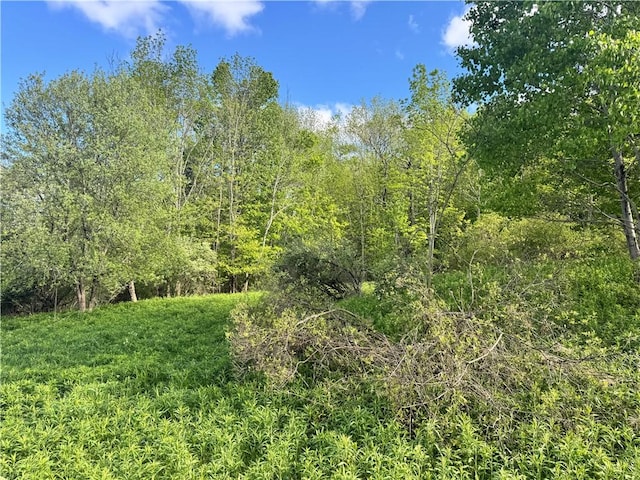 LOT11 Meadow Brook Dr, Middletown, NY 12455