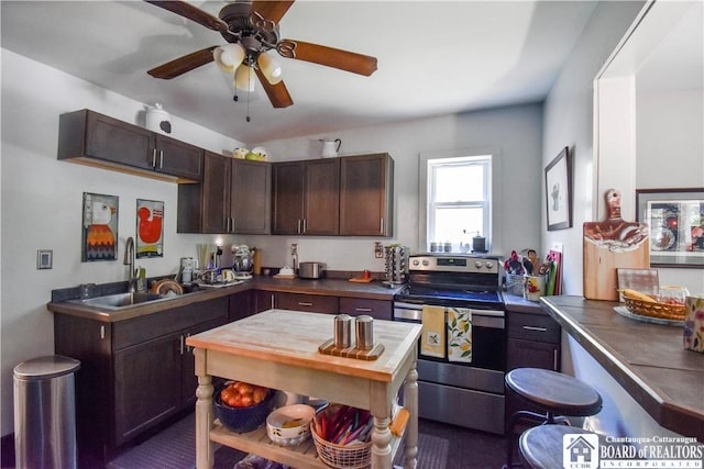 8 Terrace St, Westfield, NY 14787 - kitchen with stainless steel electric range, a sink, dark brown cabinetry, and dark countertops