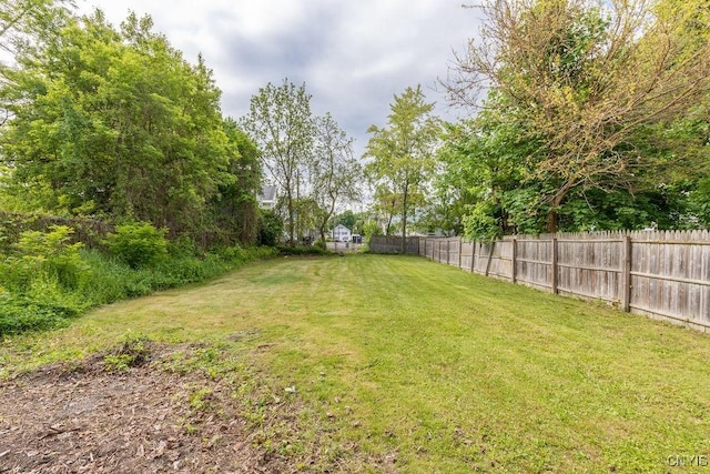 210 Essex St, Syracuse, NY 13204 - view of yard