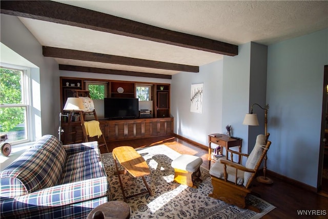 4748 Thrall Rd, Cambria, NY 14094 - living area featuring wood finished floors, plenty of natural light, baseboards, beam ceiling, and a textured ceiling