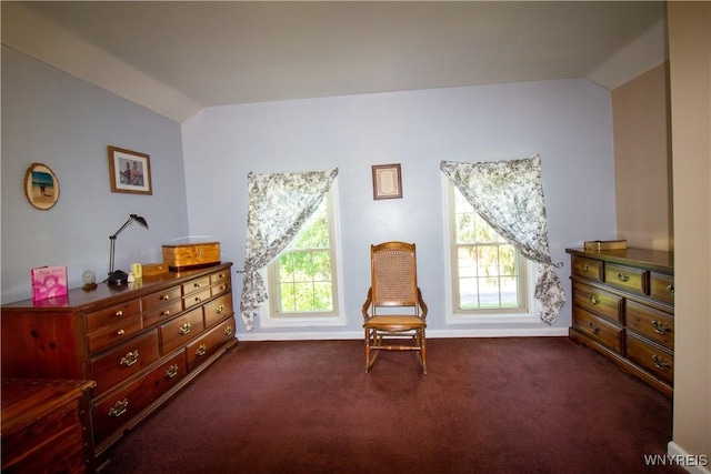 4748 Thrall Rd, Cambria, NY 14094 - sitting room featuring vaulted ceiling, dark colored carpet, and baseboards