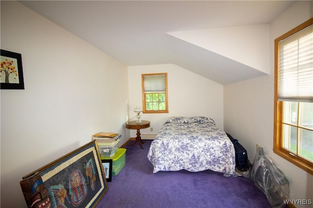 4748 Thrall Rd, Cambria, NY 14094 - bedroom with carpet flooring and lofted ceiling