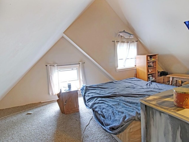 1459 Culver Rd, Rochester, NY 14609 - bedroom with lofted ceiling, multiple windows, and carpet