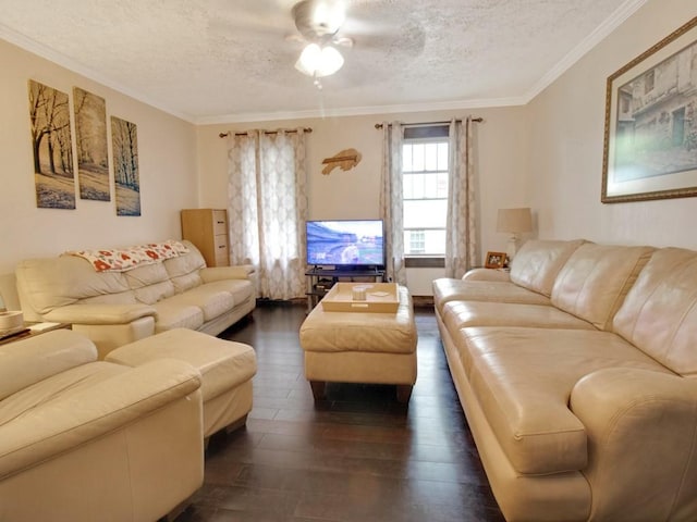 1459 Culver Rd, Rochester, NY 14609 - living room featuring a textured ceiling, dark wood-style floors, ornamental molding, and ceiling fan