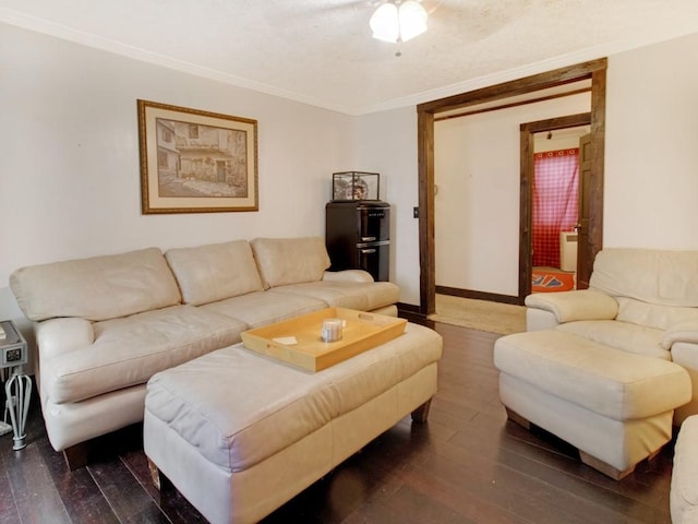 1459 Culver Rd, Rochester, NY 14609 - living room featuring hardwood / wood-style flooring and crown molding
