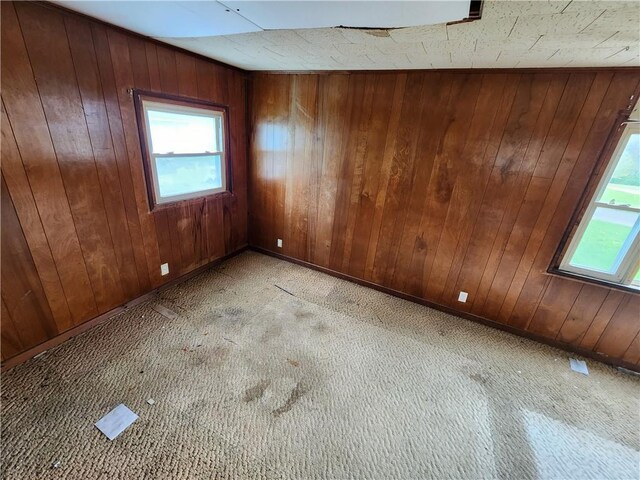 98 Gardeau St, Perry, NY 14530 - unfurnished room with healthy amount of natural light, light colored carpet, and wood walls