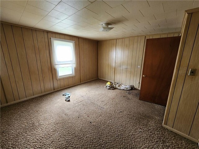 98 Gardeau St, Perry, NY 14530 - carpeted empty room featuring wooden walls