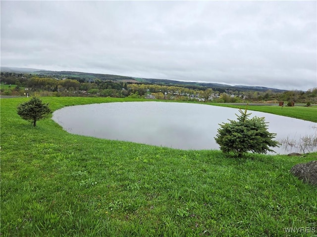 9600 Vermont View Rd, Machias, NY 14101 - water view
