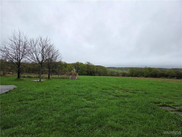 9600 Vermont View Rd, Machias, NY 14101 - view of grassy yard with a rural view