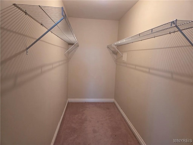 9600 Vermont View Rd, Machias, NY 14101 - walk in closet featuring carpet