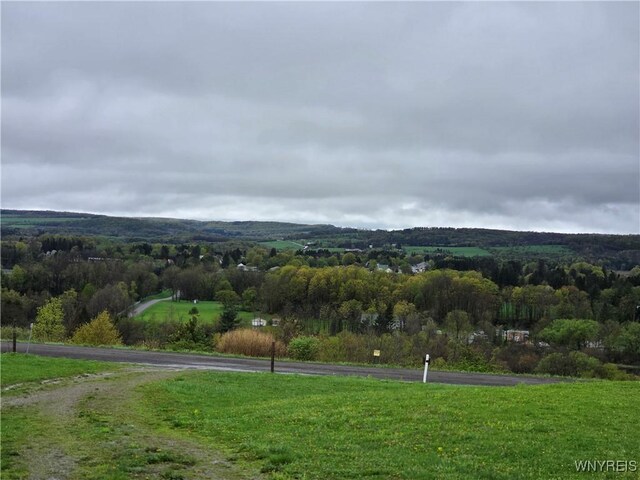9600 Vermont View Rd, Machias, NY 14101 - view of mountain backdrop