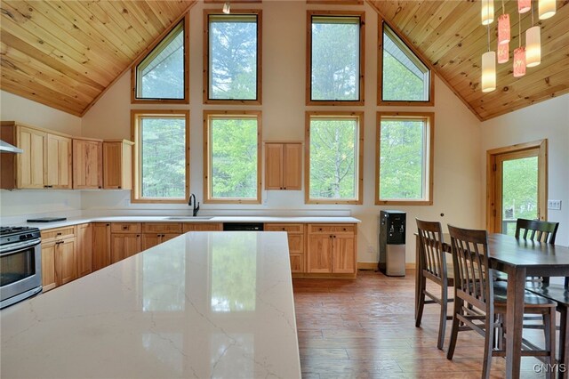 20172 Blue Heron Ln, Alexandria, NY 13607 - kitchen featuring stainless steel range with gas cooktop, a sink, high vaulted ceiling, wood ceiling, and light wood-style floors
