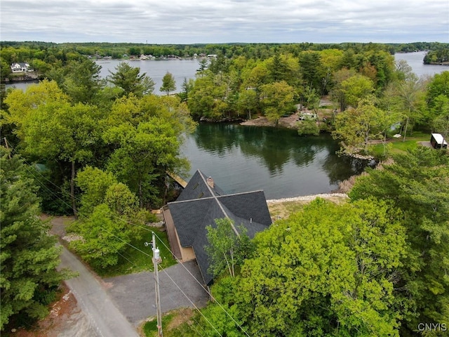20172 Blue Heron Ln, Alexandria, NY 13607 - bird's eye view of a large body of water