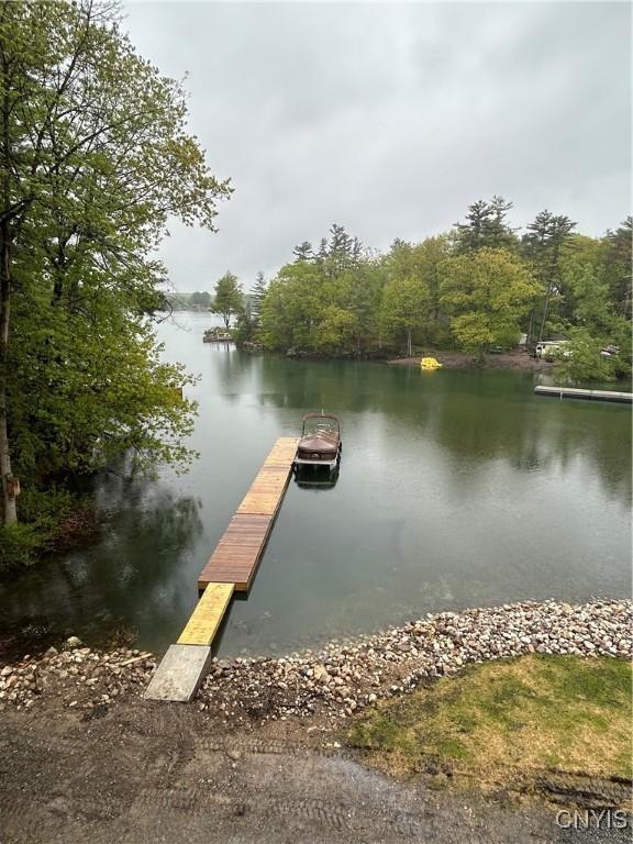20172 Blue Heron Ln, Alexandria, NY 13607 - dock featuring a water view