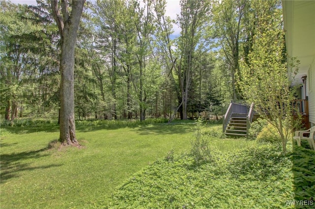7 Forsythia Ct, Orchard Park, NY 14127 - view of green lawn featuring stairway
