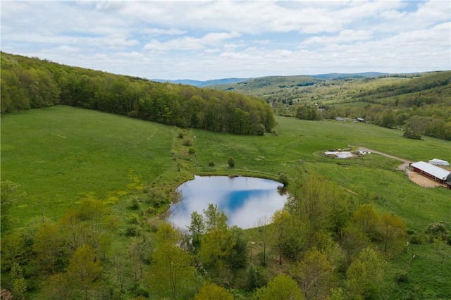 2400 Gladstone Hollow Rd, Andes, NY 13731 - aerial view of property's location featuring a large body of water
