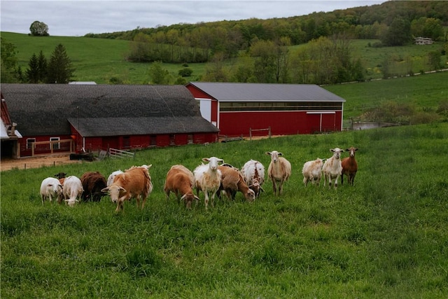 2400 Gladstone Hollow Rd, Andes, NY 13731 - view of yard with a view of rural / pastoral area and an outbuilding