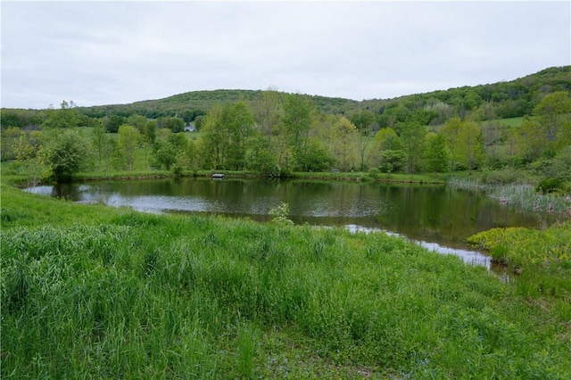 2400 Gladstone Hollow Rd, Andes, NY 13731 - water view featuring a forest