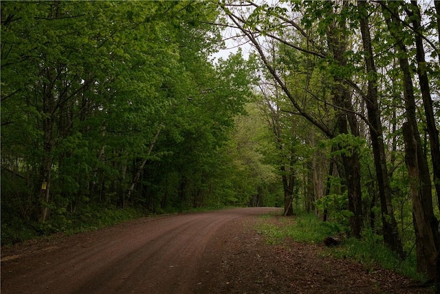 2400 Gladstone Hollow Rd, Andes, NY 13731 - view of dirt / gravel road featuring a forest view