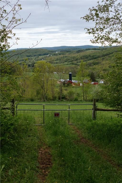 2400 Gladstone Hollow Rd, Andes, NY 13731 - view of mountain background