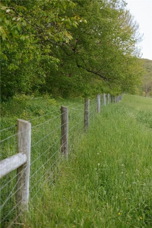 2400 Gladstone Hollow Rd, Andes, NY 13731 - view of yard