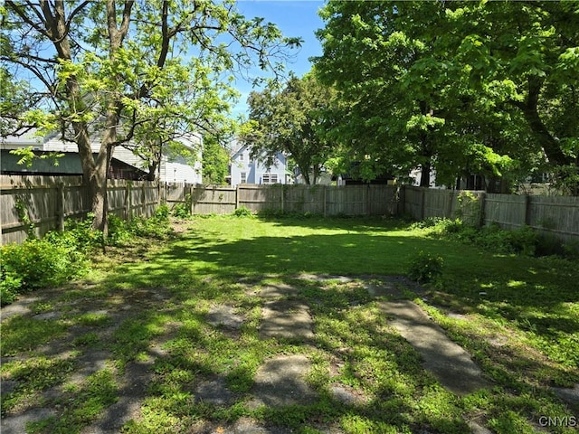 919 Academy St, Watertown-City, NY 13601 - view of yard