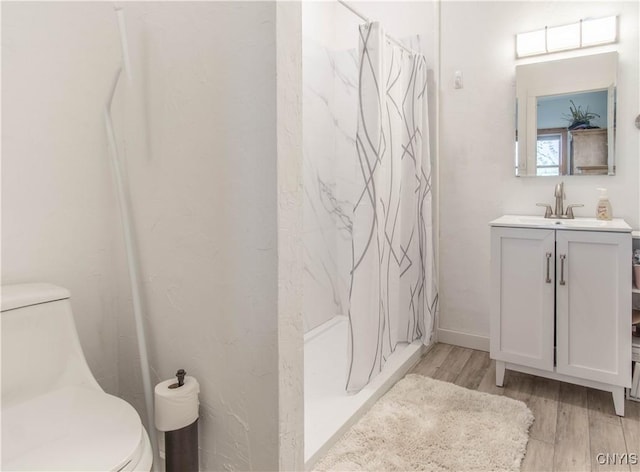 4146 Carleton Island Rd Unit 1, Cape Vincent, NY 13618 - bathroom with toilet, wood finished floors, vanity, and a shower with curtain