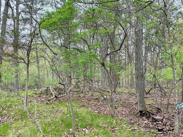 41457 Cross Island Rd, Clayton, NY 13624