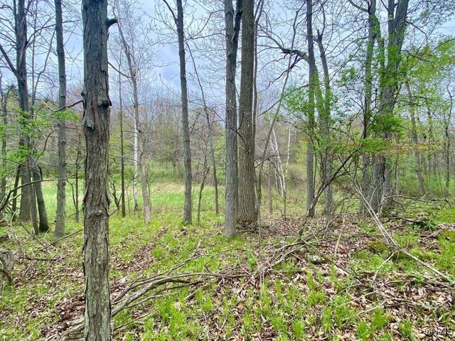41457 Cross Island Rd, Clayton, NY 13624