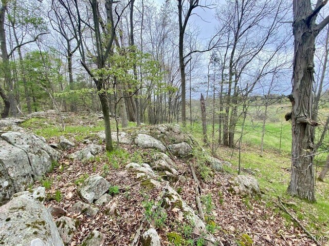41457 Cross Island Rd, Clayton, NY 13624