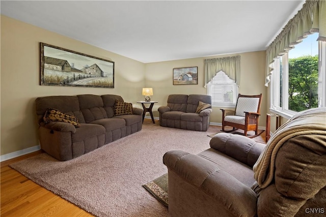 114 E Dauenhauer St, Manlius, NY 13057 - living room featuring baseboards and wood finished floors