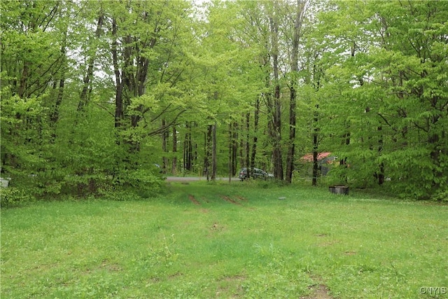 11705 Creek Rd, Annsville, NY 13471 - photo 15
