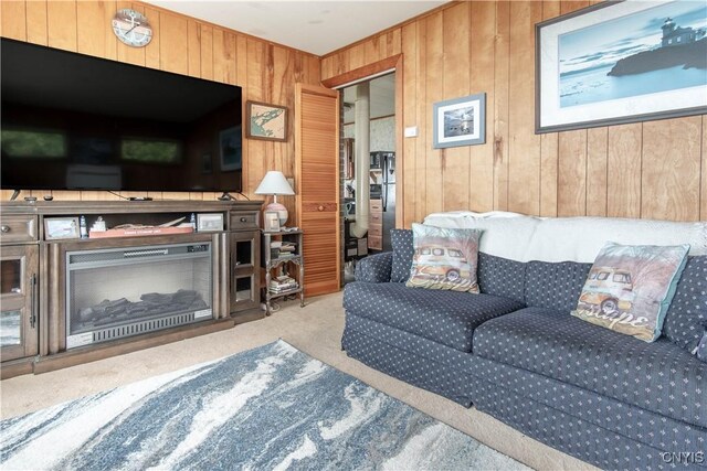 2510 Ponds Shore Dr, Cape Vincent, NY 13618 - carpeted living area with wood walls