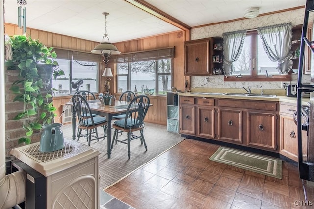 2510 Ponds Shore Dr, Cape Vincent, NY 13618 - kitchen with a sink, healthy amount of natural light, light countertops, ornamental molding, and wooden walls