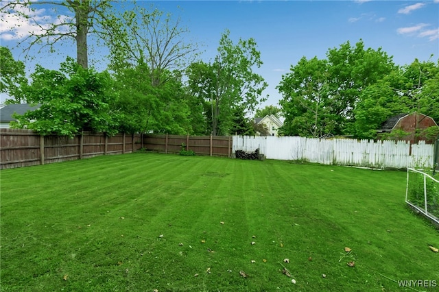 18 Spruce St, Lockport-City, NY 14094 - view of fenced backyard