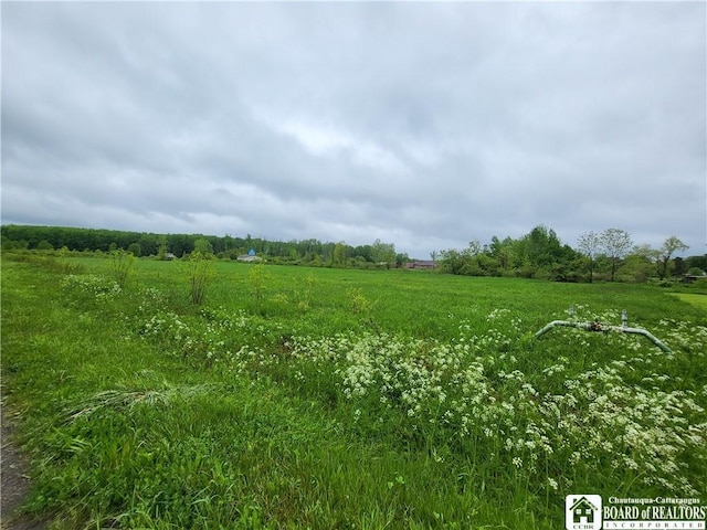 Dredge Rd, Dayton, NY 14138